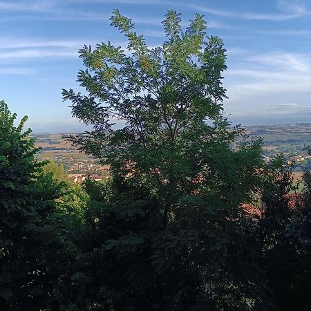 Appartamenti Dei Conti Osimo Bagian luar foto